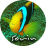 Avatar utilizator