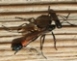 Avatar utilizator