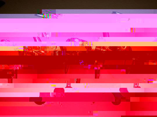 Tica5.jpg