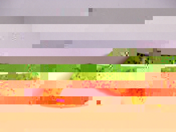 DSCF7367.JPG