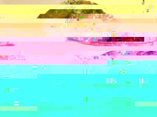 thumbnail 1.jpg