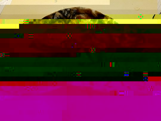 thumbnail 3.jpg