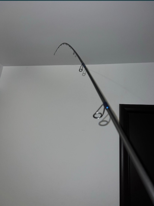IMG_7036.jpeg
