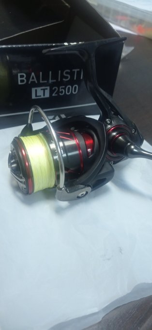 IMG_20231121_091508.jpg