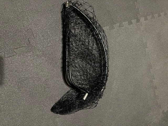 image11.jpeg