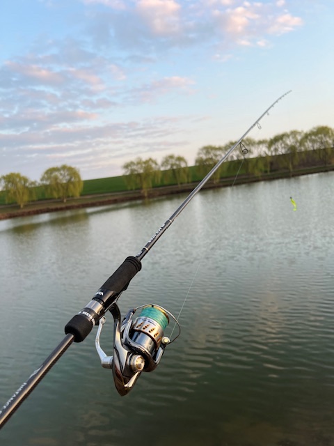 IMG_3942.jpeg
