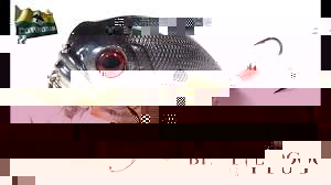 images.jpg