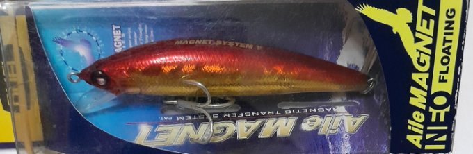 20240924_204958.jpg