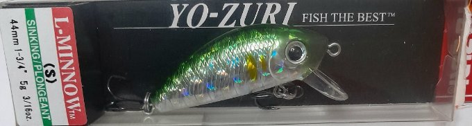 20240924_205228.jpg