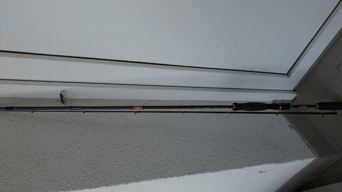 rsz_p_20190217_114832.jpg