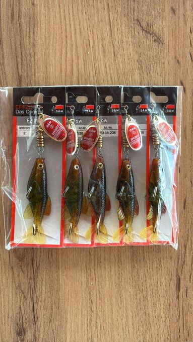 Minnow 2.jpeg