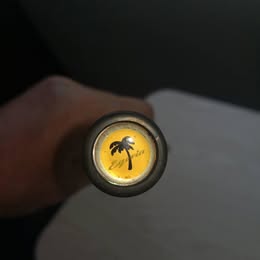palms 5.jpg