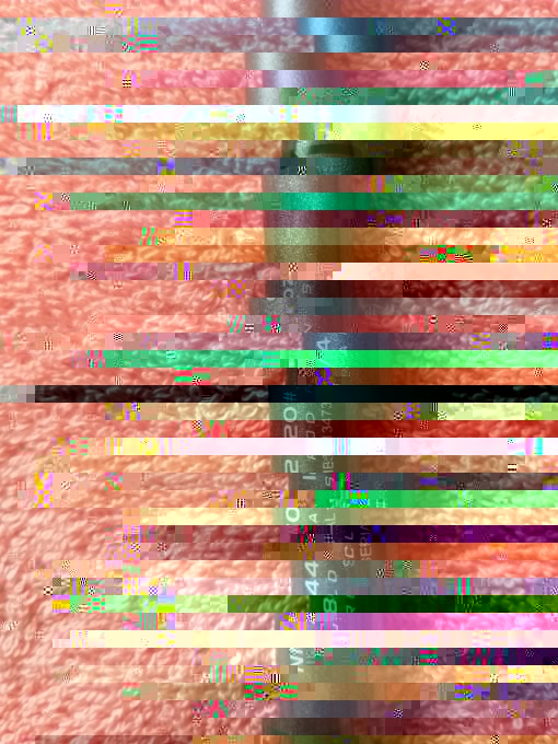 74372393-D126-44A5-A5D8-8B46C0C1040D.jpeg