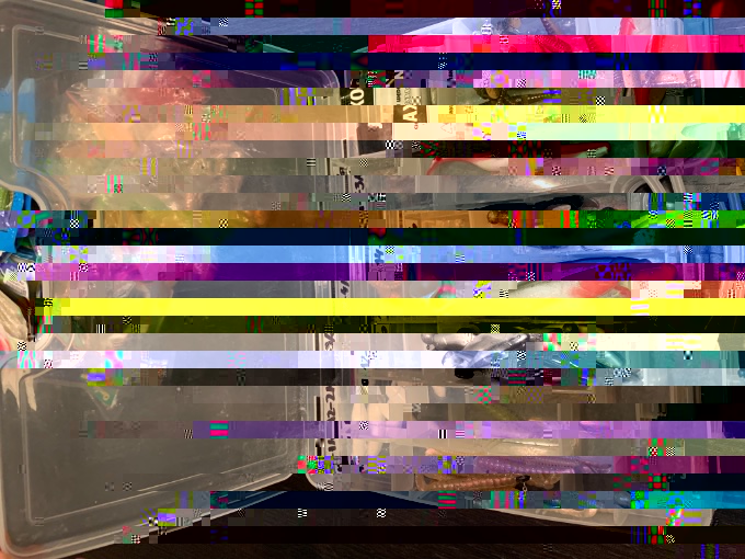 898A0B59-4B78-4EC0-9E14-7ACE3A66FB60.jpeg