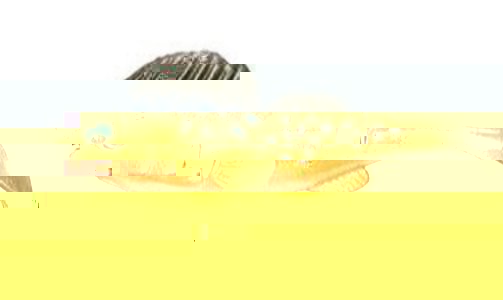 20200122_135004.jpg