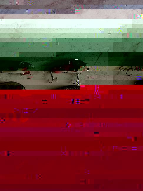 20190806_191710.jpg