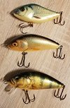 Salmo.jpg