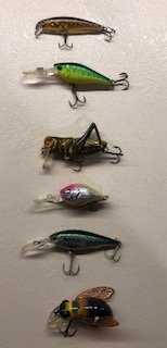 IMG_3830.jpg