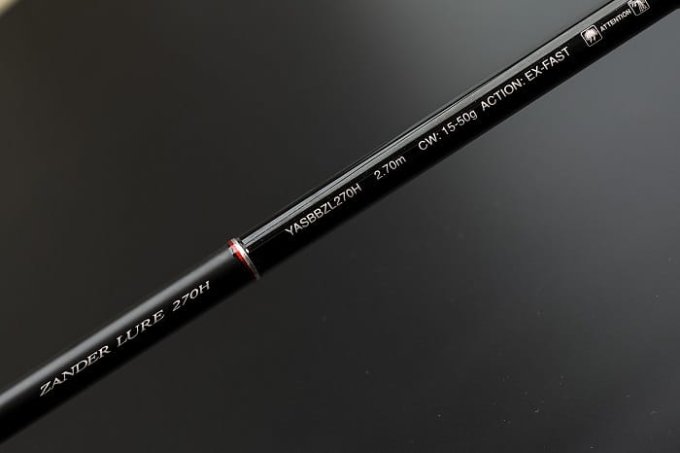 p3.jpg