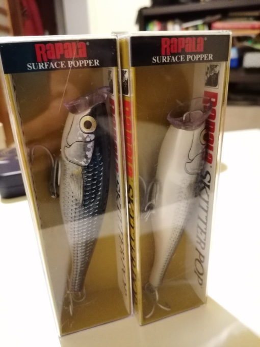 rapala popper  mullet.jpg