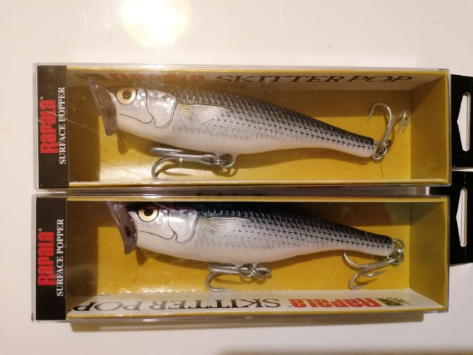 rapala 7.jpg