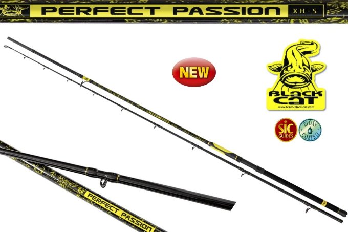 black_cat_perfect_passion_xh-s_600g_2_40-2_0-3_00-3_20m.jpg