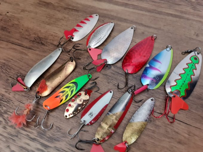 Eppinger Berti Custom.jpg