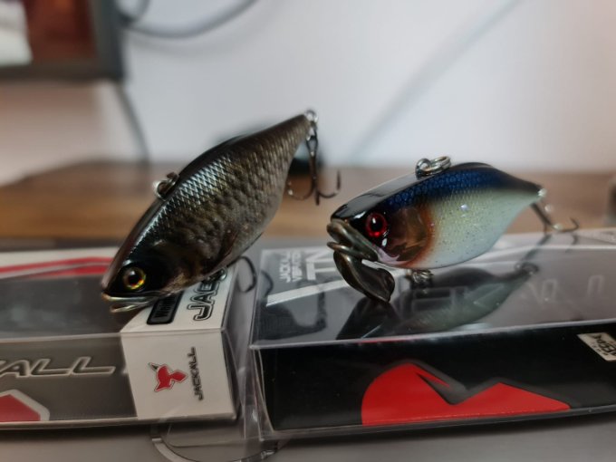 Trigon+TN60.jpeg