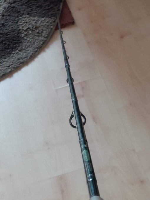 received_447009097241559.jpeg